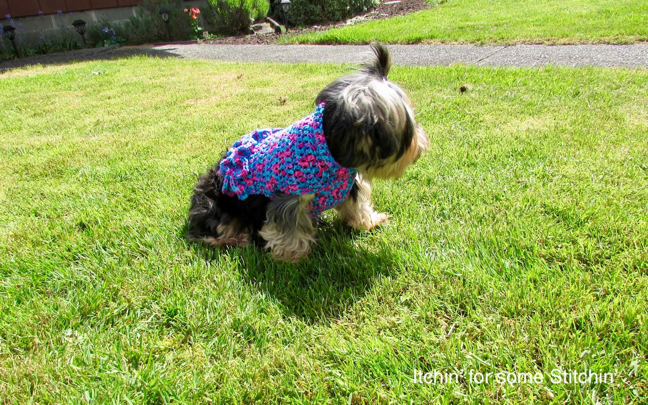 Small Dog Coat with Ruffles Pattern by www.itchinforsomestitchin.com