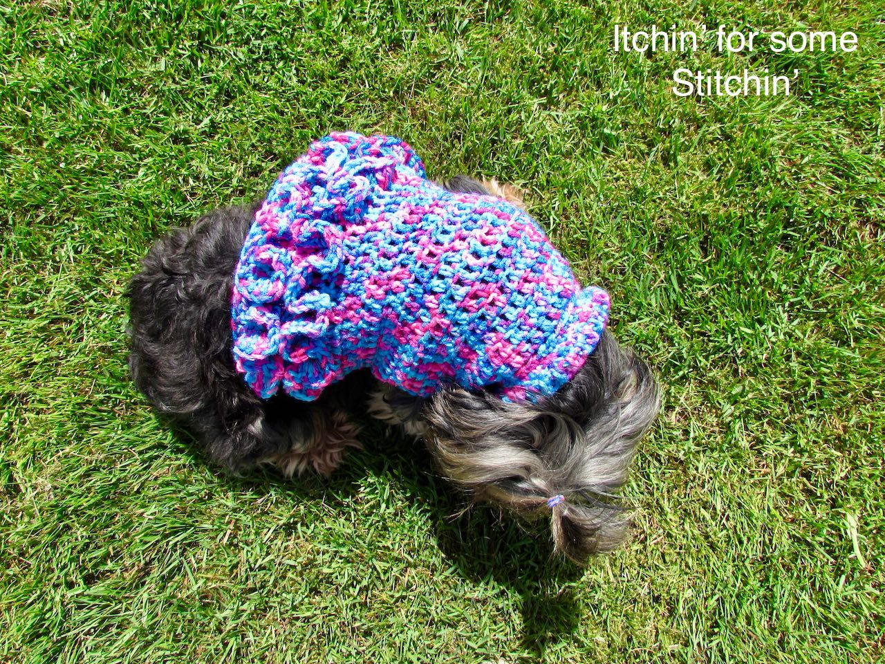 How to Crochet a Dog Sweater With Ruffles Itchin' for some Stitchin'
