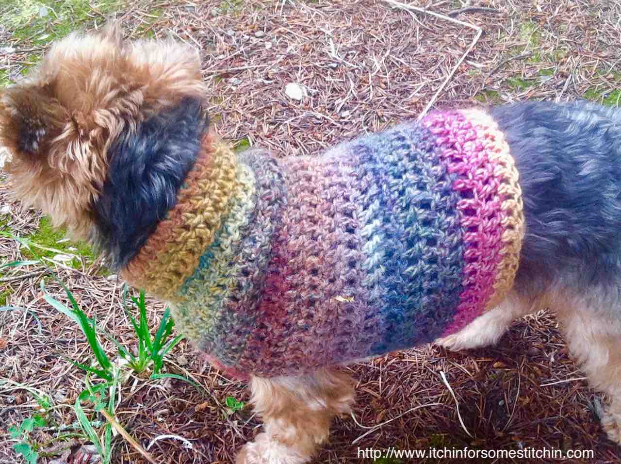 Quick Easy Small Dog Crochet Sweater Itchin For Some