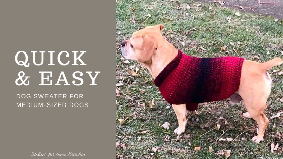 Quick & Easy Crochet Dog Sweater Pattern in Medium by www.itchinforsomestitchin.com