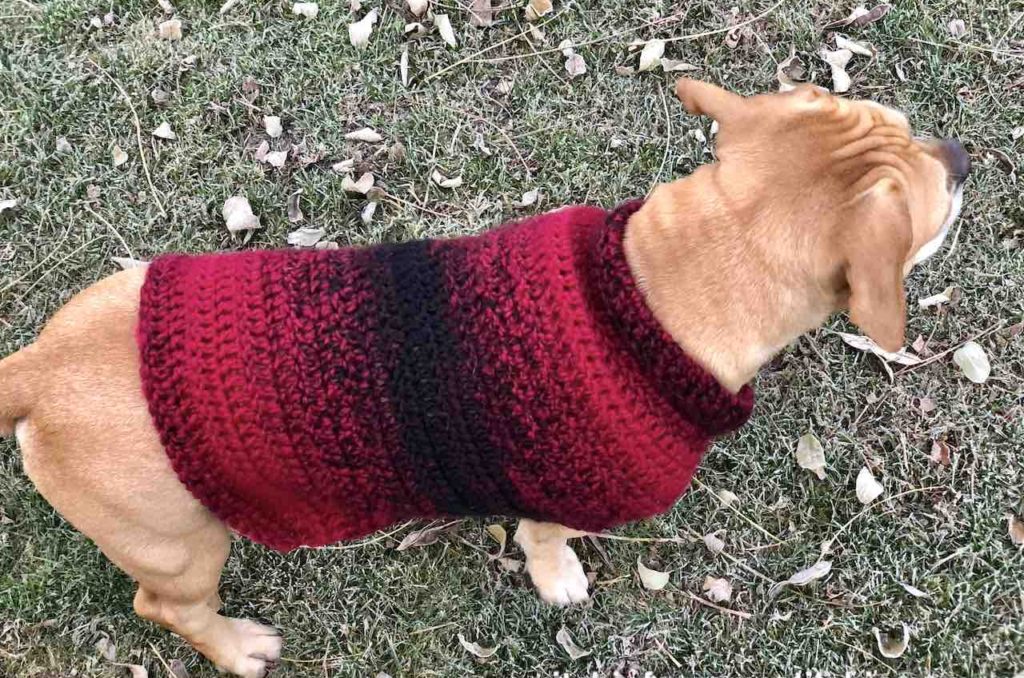 Quick & Easy Medium Dog Sweater Pattern by www.itchinforsometitchin.com